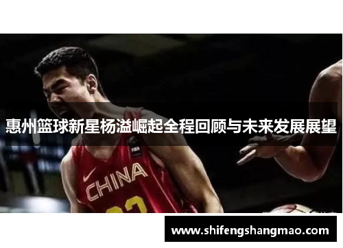 惠州篮球新星杨溢崛起全程回顾与未来发展展望