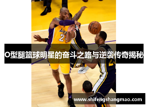 O型腿篮球明星的奋斗之路与逆袭传奇揭秘