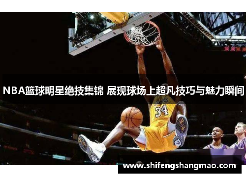 NBA篮球明星绝技集锦 展现球场上超凡技巧与魅力瞬间