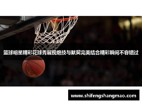 篮球明星精彩花球秀展现绝技与默契完美结合精彩瞬间不容错过