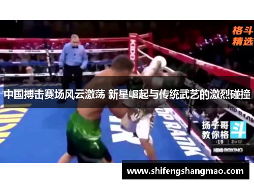 中国搏击赛场风云激荡 新星崛起与传统武艺的激烈碰撞