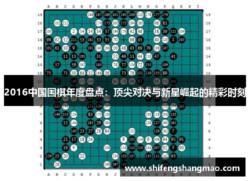 2016中国围棋年度盘点：顶尖对决与新星崛起的精彩时刻