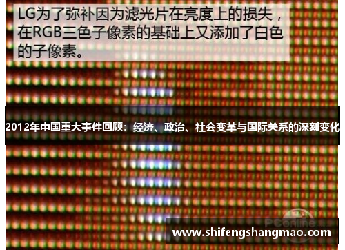 2012年中国重大事件回顾：经济、政治、社会变革与国际关系的深刻变化